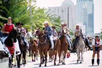 Horses