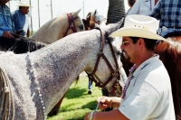 Man with Horse